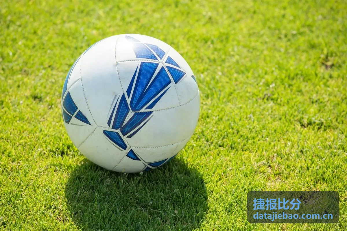 捷报比分赛事记录-球迷欢呼场面